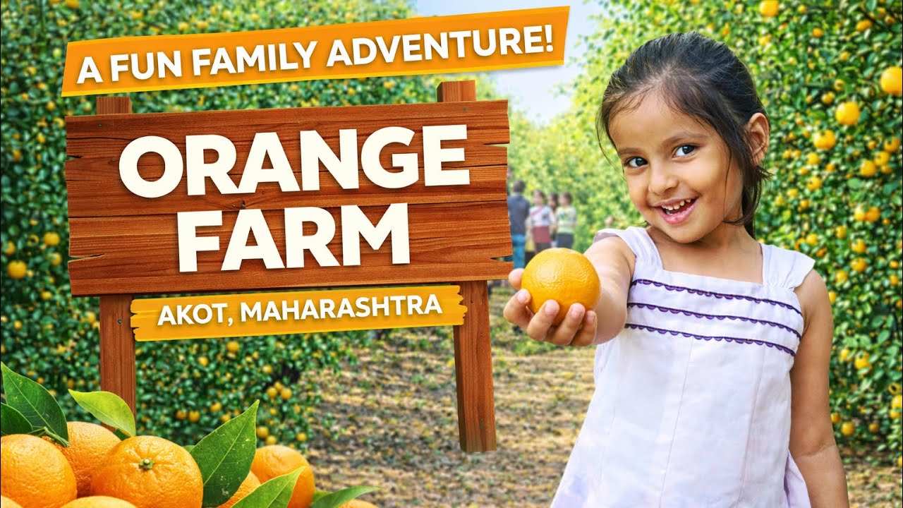 Orange Farm Visit in Akot 🍊 | Family Trip | Kids Picking Oranges | Pure Village Fun