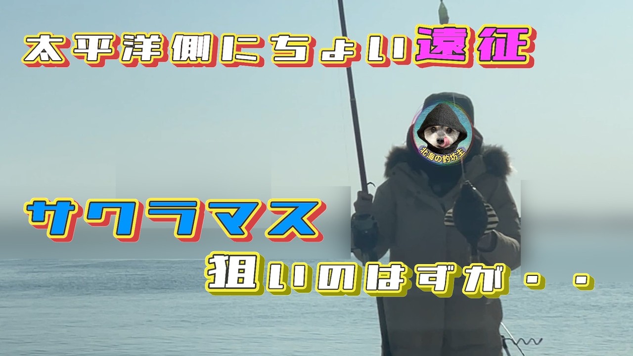 2月初旬⭐︎太平洋方面に遠征！サクラマス狙いのはずがぶっこみ＆サビキ釣りに。イワシやカレイ・コマイ釣り