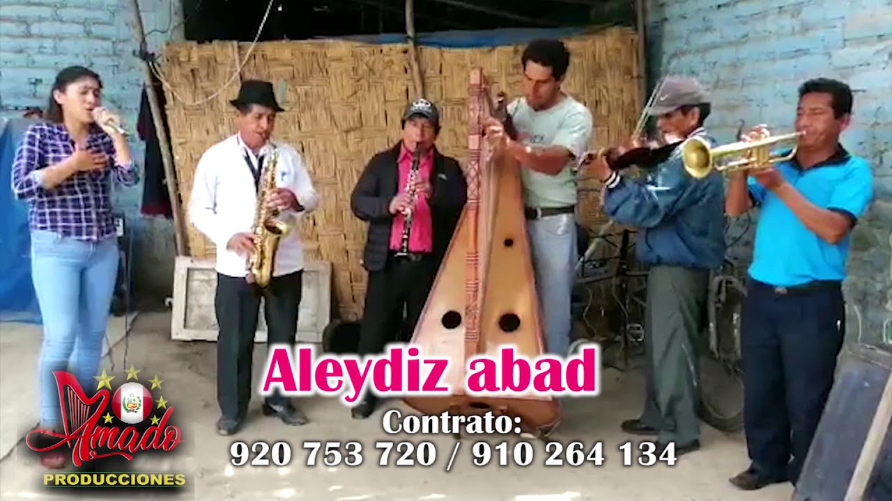 Aleydiz Abad & Roberto Amado Avila - Turismo Cavasa (Version Orquesta)