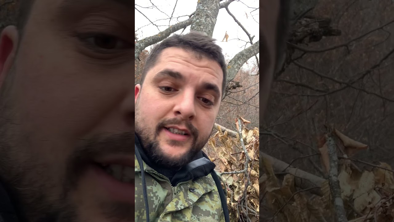 Gjuetia ne Kosov&euml; leper, derr, kaproll, ujk