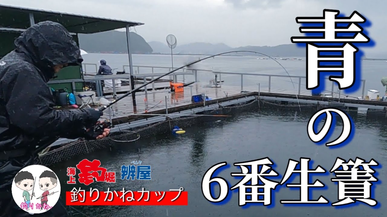 【海上釣堀】破れ‼️トルネードの壁‼️青物スイッチ‼️誰が入れる⁉️⚪︎の６番生簀の奇跡✨#海上釣り堀 海上釣堀  #海上釣り堀 #辨屋 #釣りかね