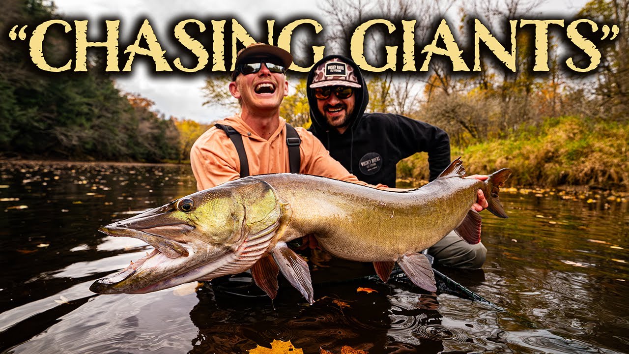 CHASING GIANTS | Fly Fishing for Musky in Wisconsin