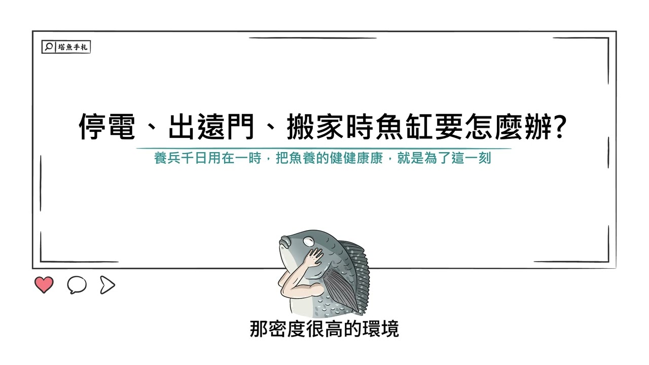 [水族大大不要聽]E40 停電、出遠門、搬家時魚缸要怎麼辦? 要怎麼降低這些突發事件對魚的影響呢?