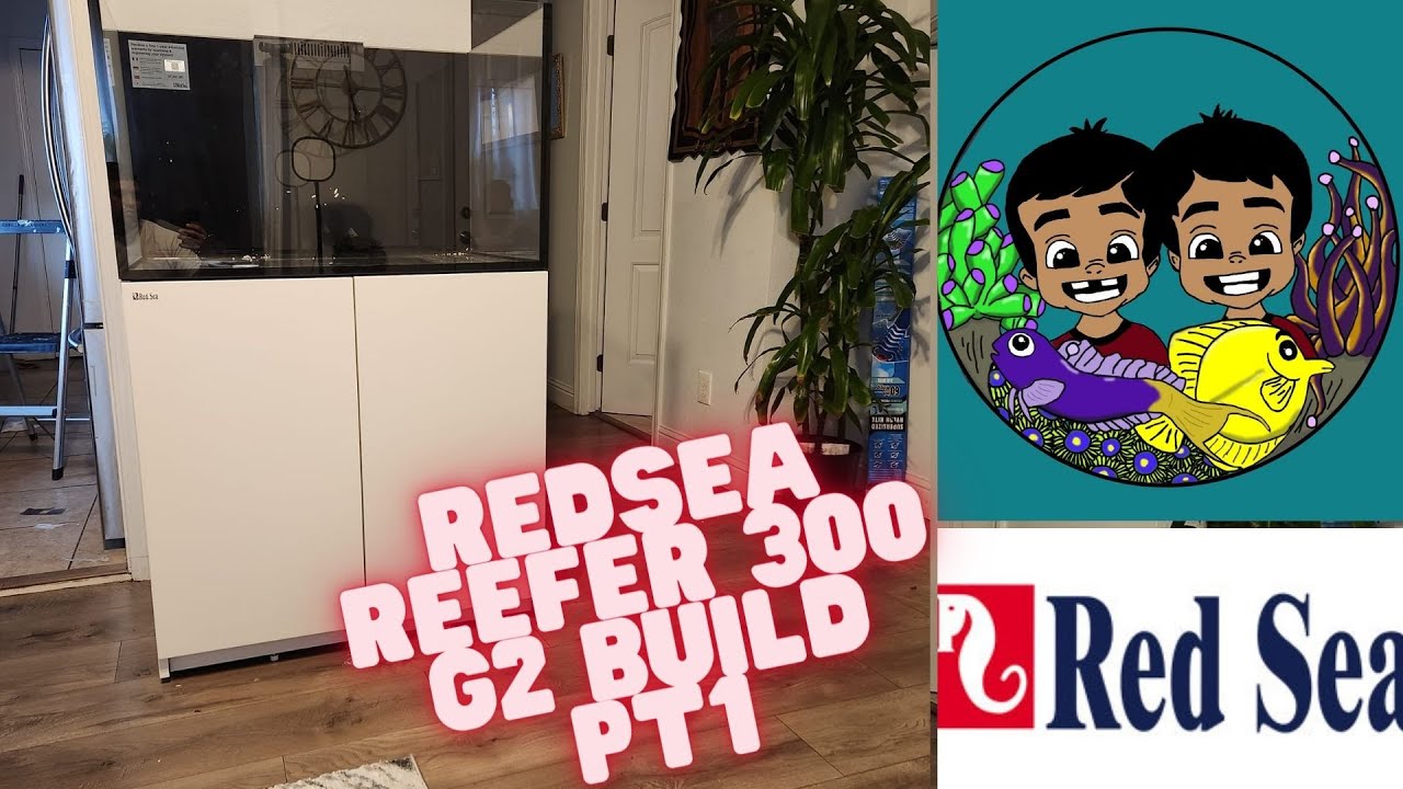RedSea Reefer 300 G2 Build Pt 1 #redseareefer  #reeftank
