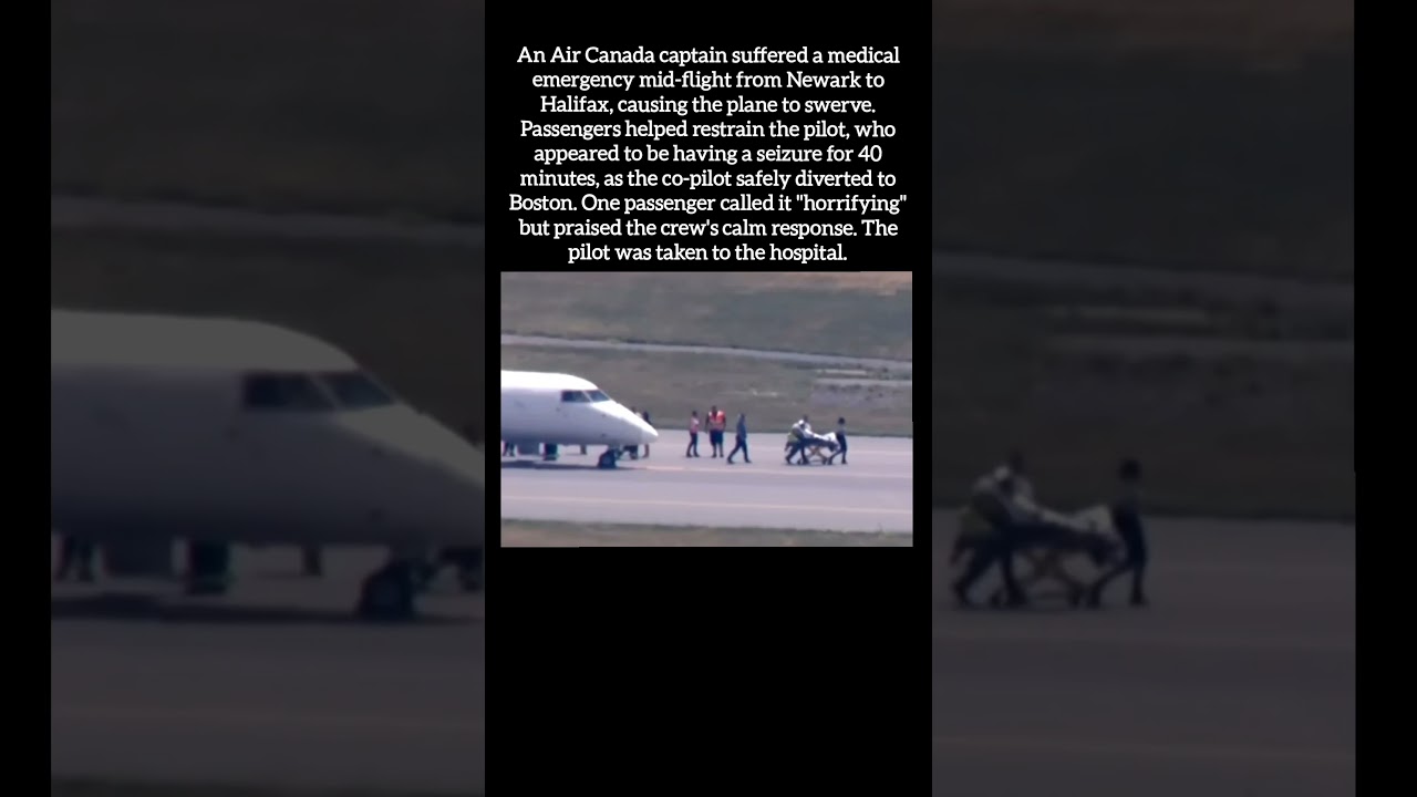 Pilot Seizes Mid-Flight, Passengers Step In to Save Him! ✈️🆘 #Shorts