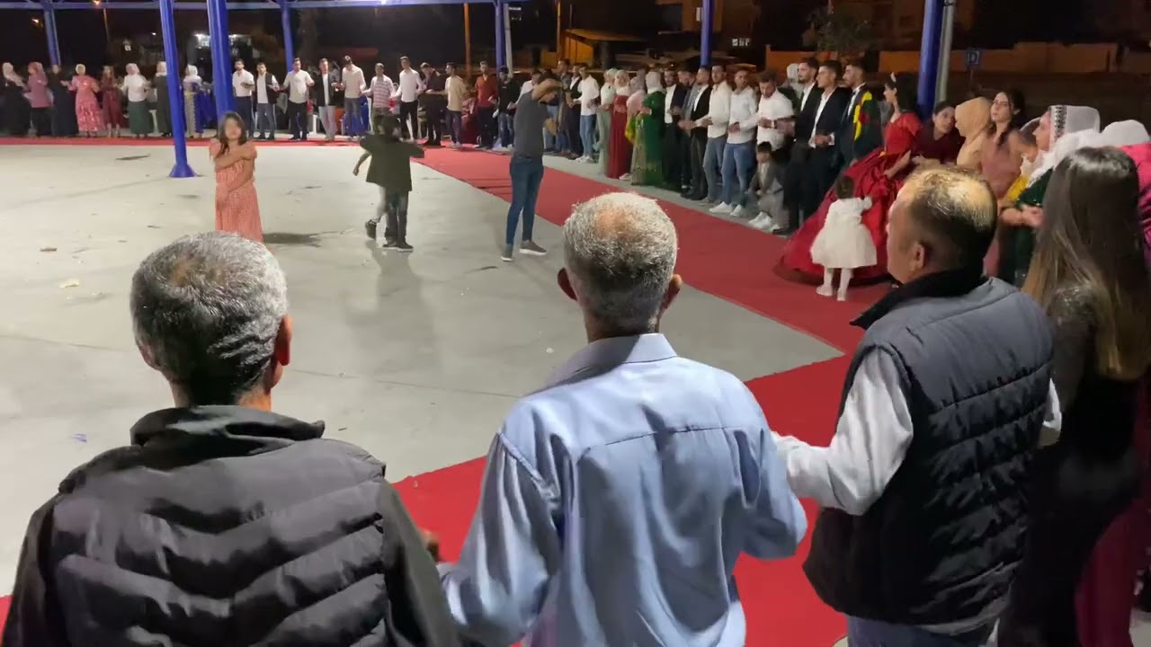 Sevagi Halay Koma Rengin & Aydın Organizasyon Ortaklar / AYDIN