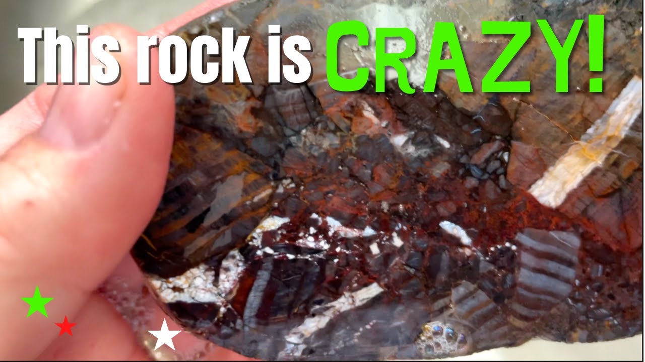 This rock is CRAZY! Finding and slabbing a KALEIDOSCOPE ROCK and more!