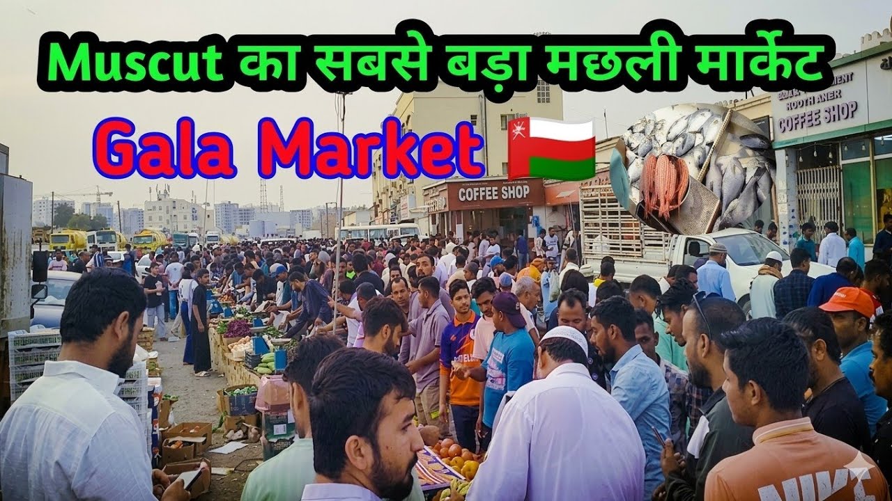 Muscut का सबसे बड़ा मछली मार्केट 🇴🇲|| गाला मछली 🐠 मार्केट #muscut #marketing #oman 
