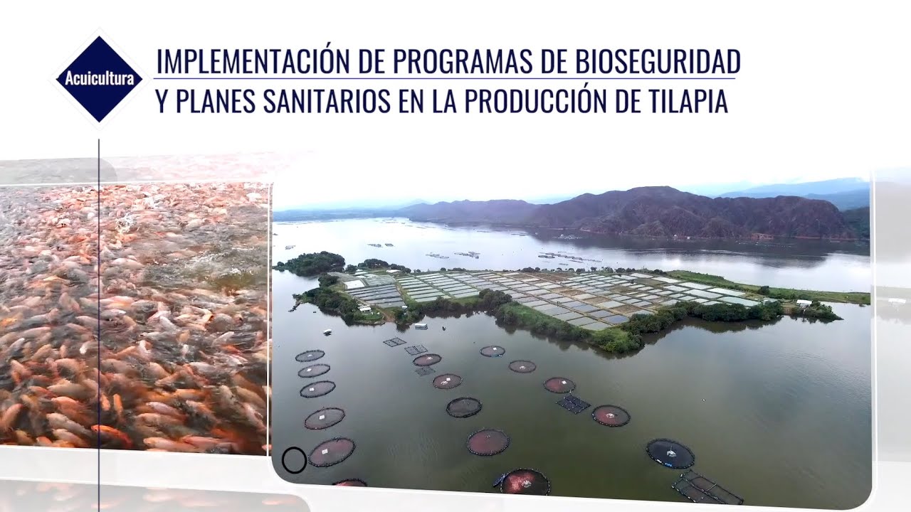ACUICULTURA BIOSEGURIDAD - PLANES SANITARIOS 250220
