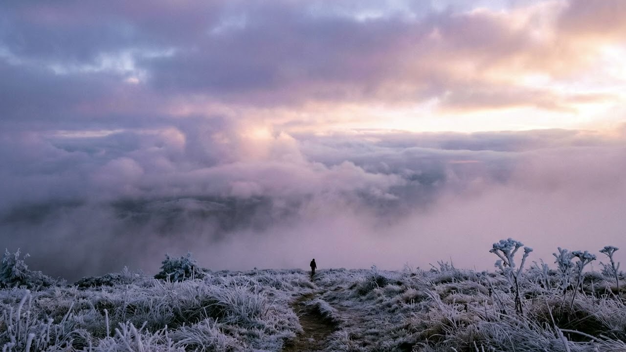 Alone in the Wide Silence — Fog Over the Open Fields | 2 Hours of Calm Atmosphere