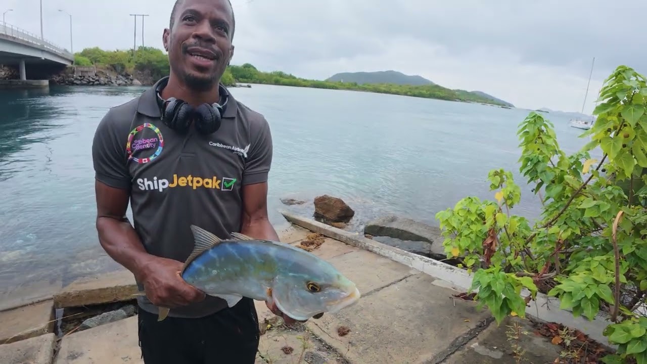 Fish Obliterates Topwater Lure! My First Yellow Jack