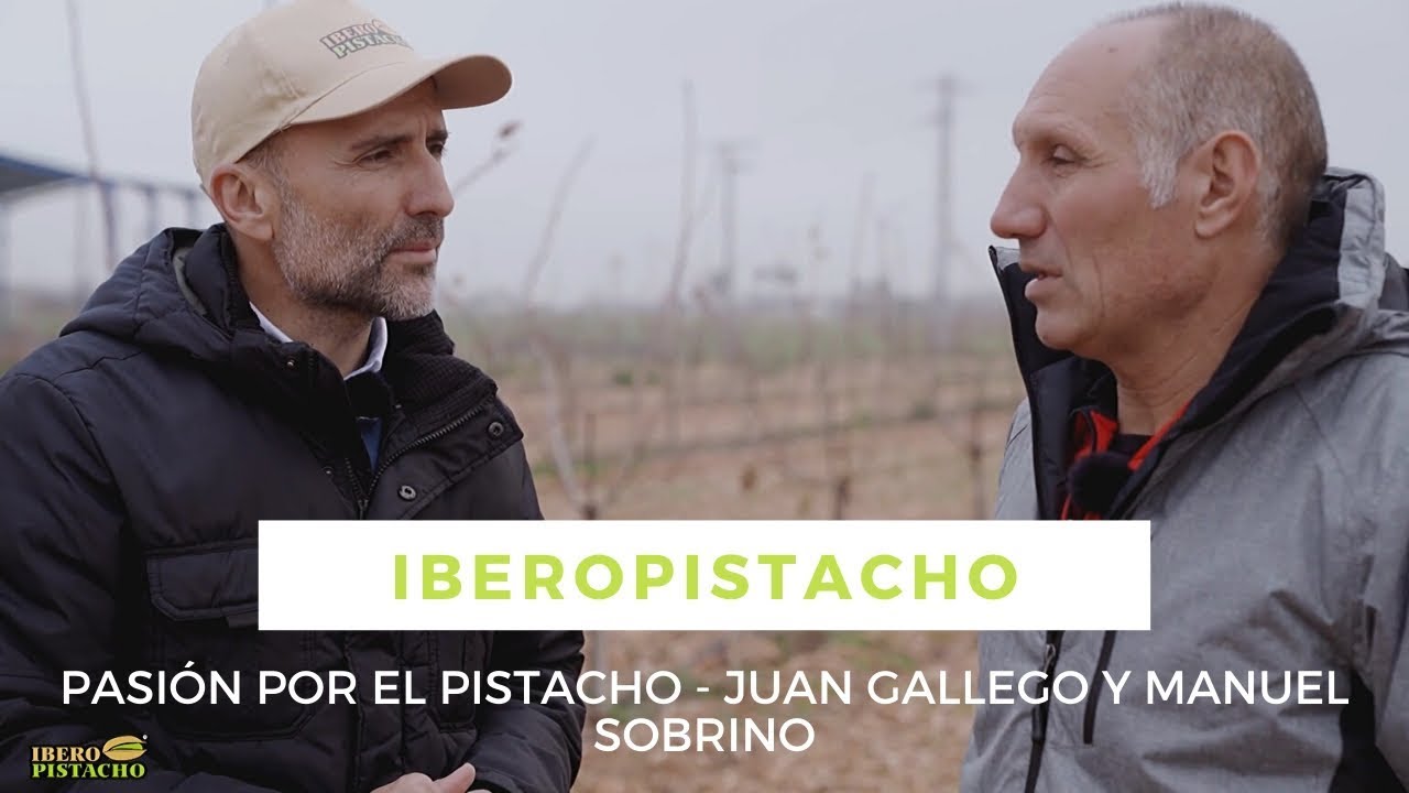 Страсть к фисташкам - Интервью с Мануэлем Собрино - IberoPistacho