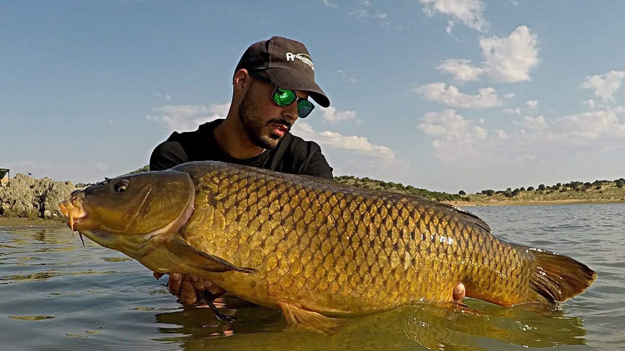 CARPFISHING EN ORELLANA | HD