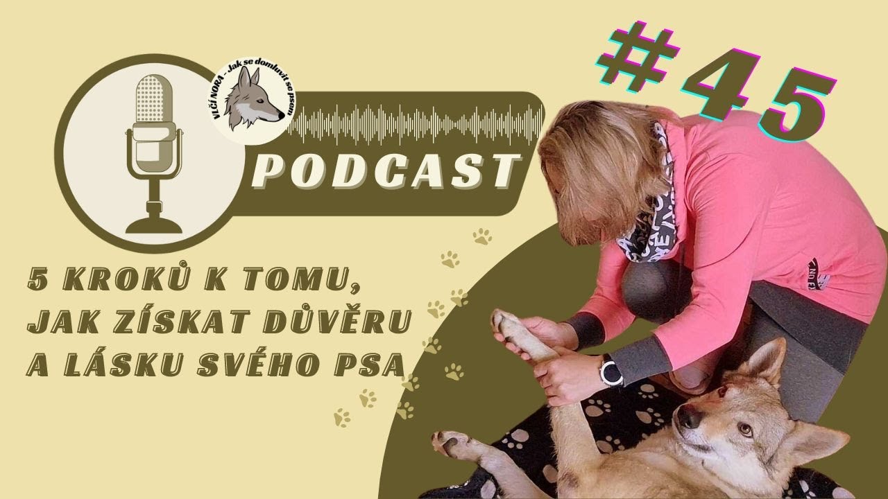 5 kroků k tomu, jak získat důvěru a lásku svého psa