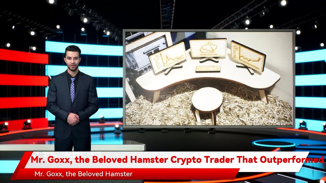 Mr. Goxx, the Beloved Hamster Crypto Trader That Outperformed Warren Buffet, Has Died