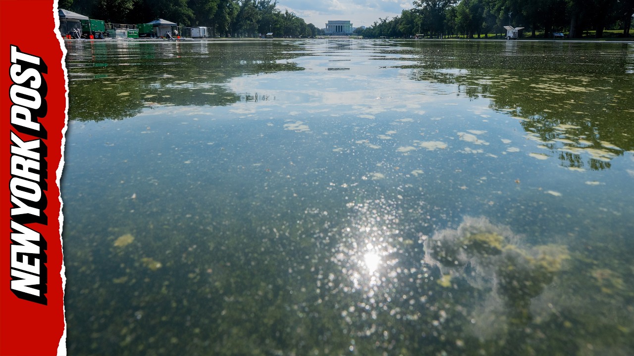 Trump's Pet Reflecting Pool Green With Algae, Peeling Paint Despite $14M Glow-Up