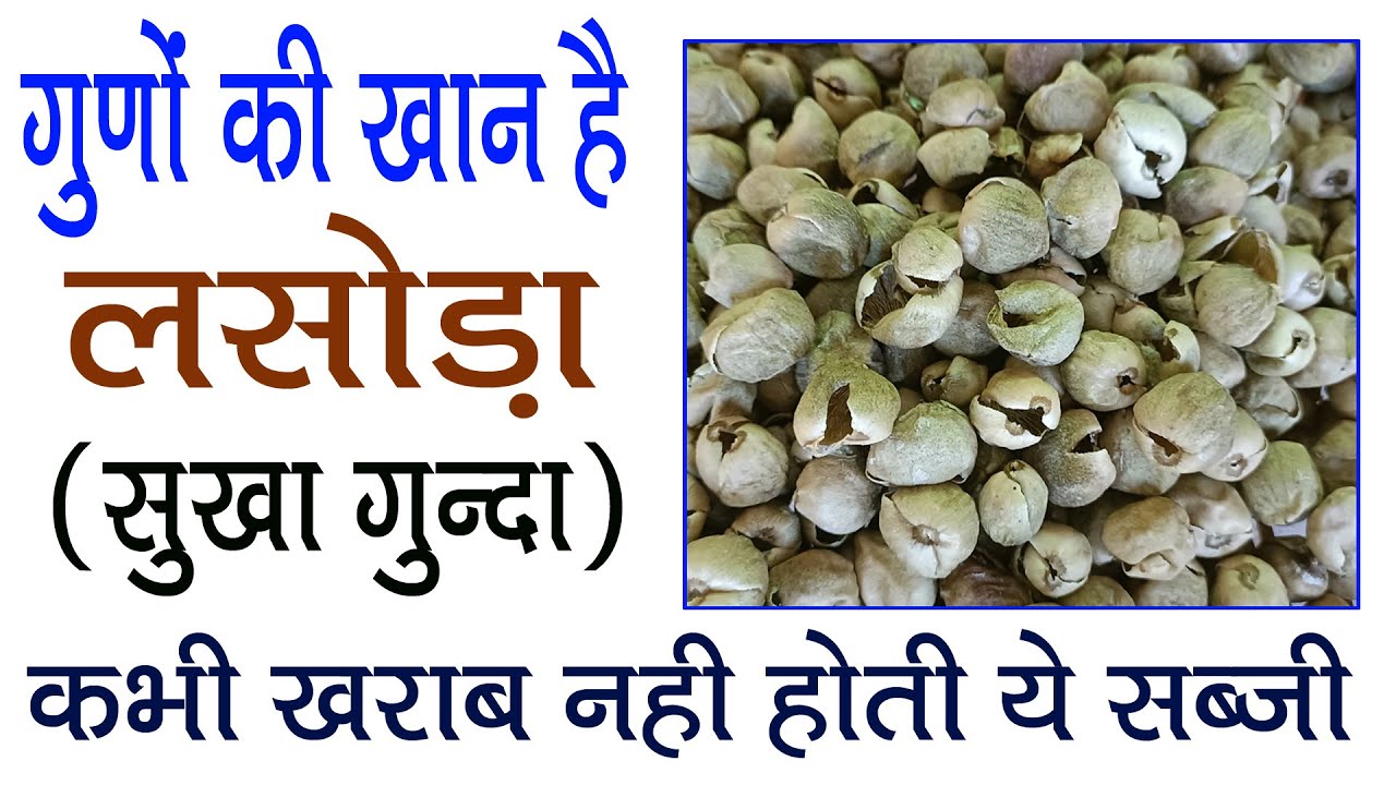 सूखे लसोड़े के फायदे | Dry Lasoda Fruit | Lasoda ki Sabji | Pachkuta kya hai | लसोड़े की सब्जी