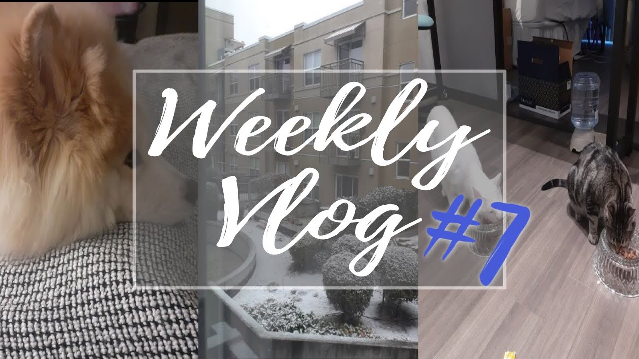 Vlog #7 | Nov 24 - Dec 8, 2022 | MandyIRL