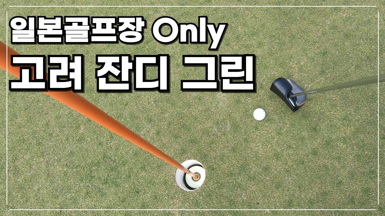 일본 골프장에만 있는 그린... 고려잔디? 코라이그린? 벤트그린?
