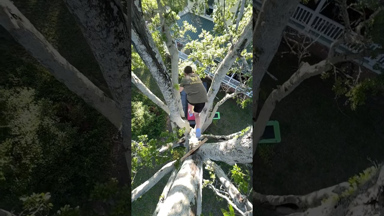 jumping 20 feet through a tree