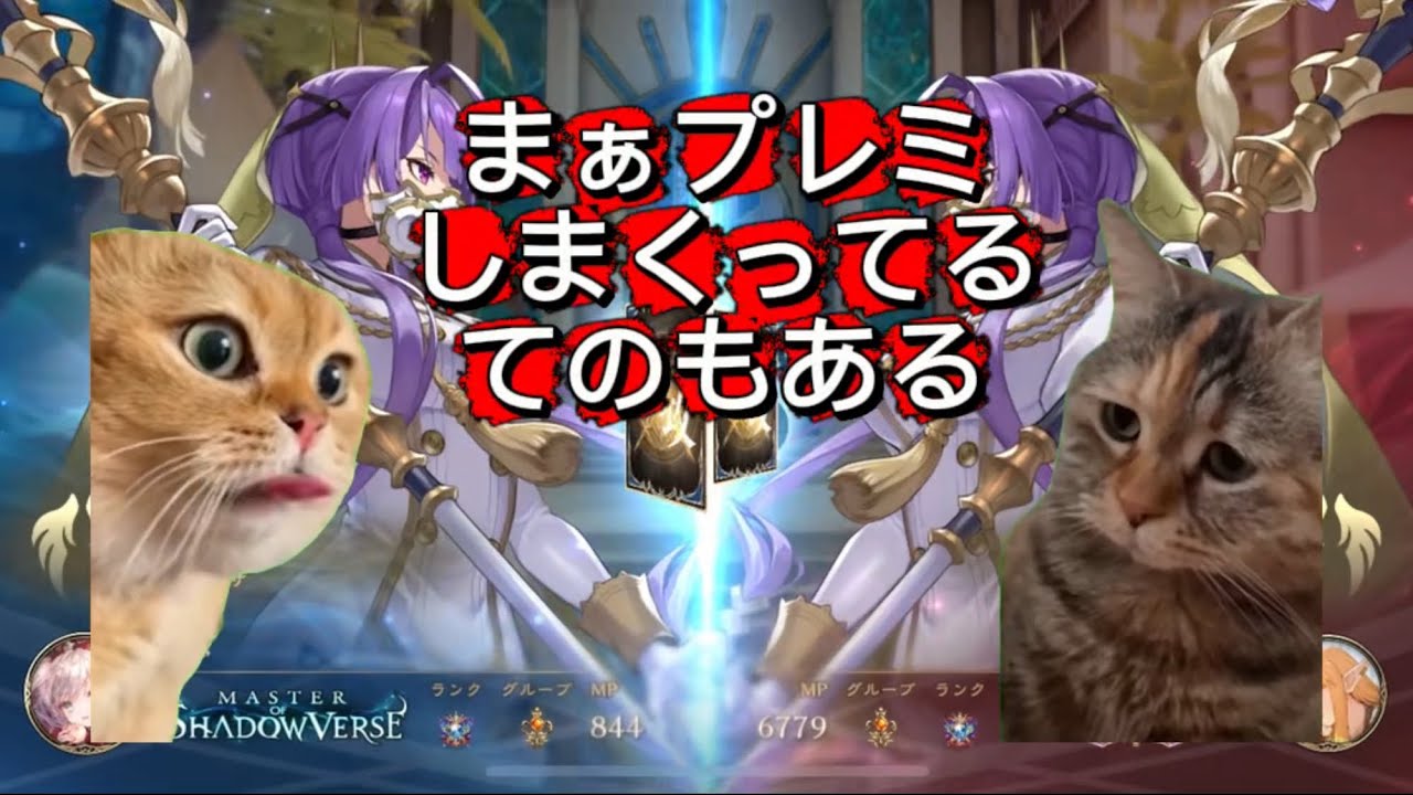 (Shadowverse: Worlds Beyond) 猫ミーム　スカルフェインと崇拝の聖騎士を間違えるアミュレットビショップ
