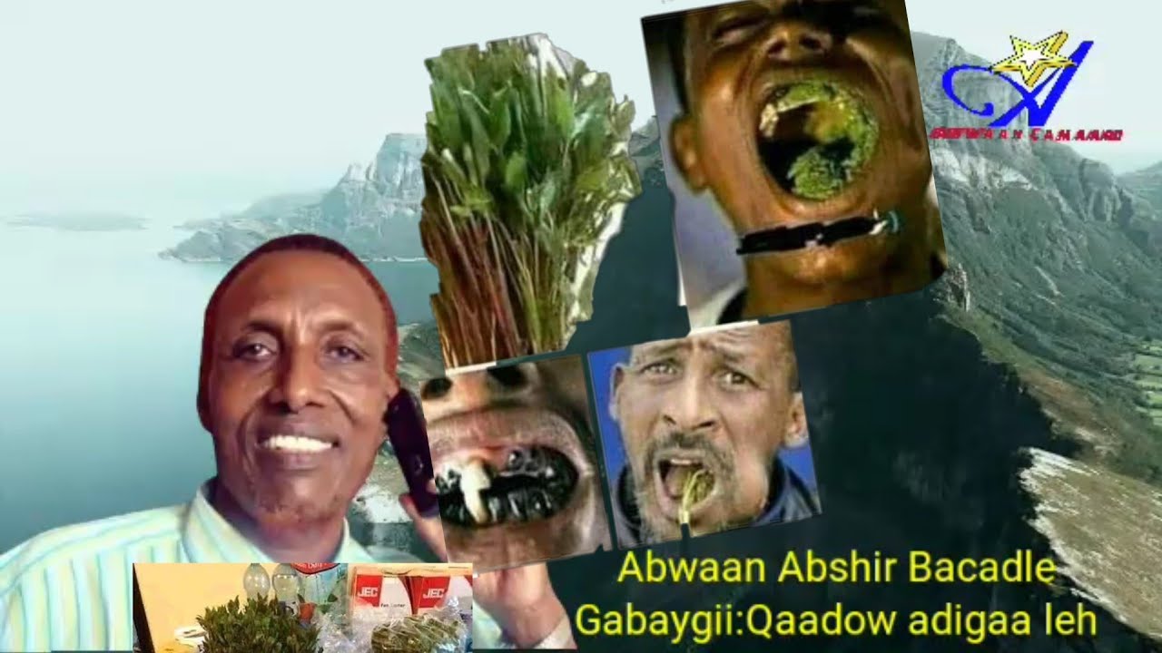 GABAYGII  QAADOOW ADIGAA LEH. ABWAAN ABSHIR  BACADLE