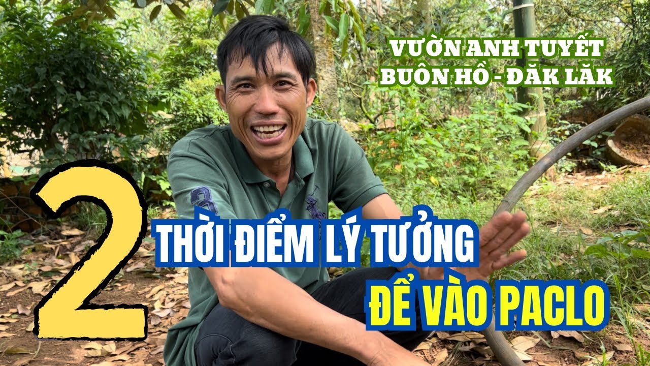 THỜI ĐIỂM LÝ TƯỞNG ĐỂ VÀO PACLO