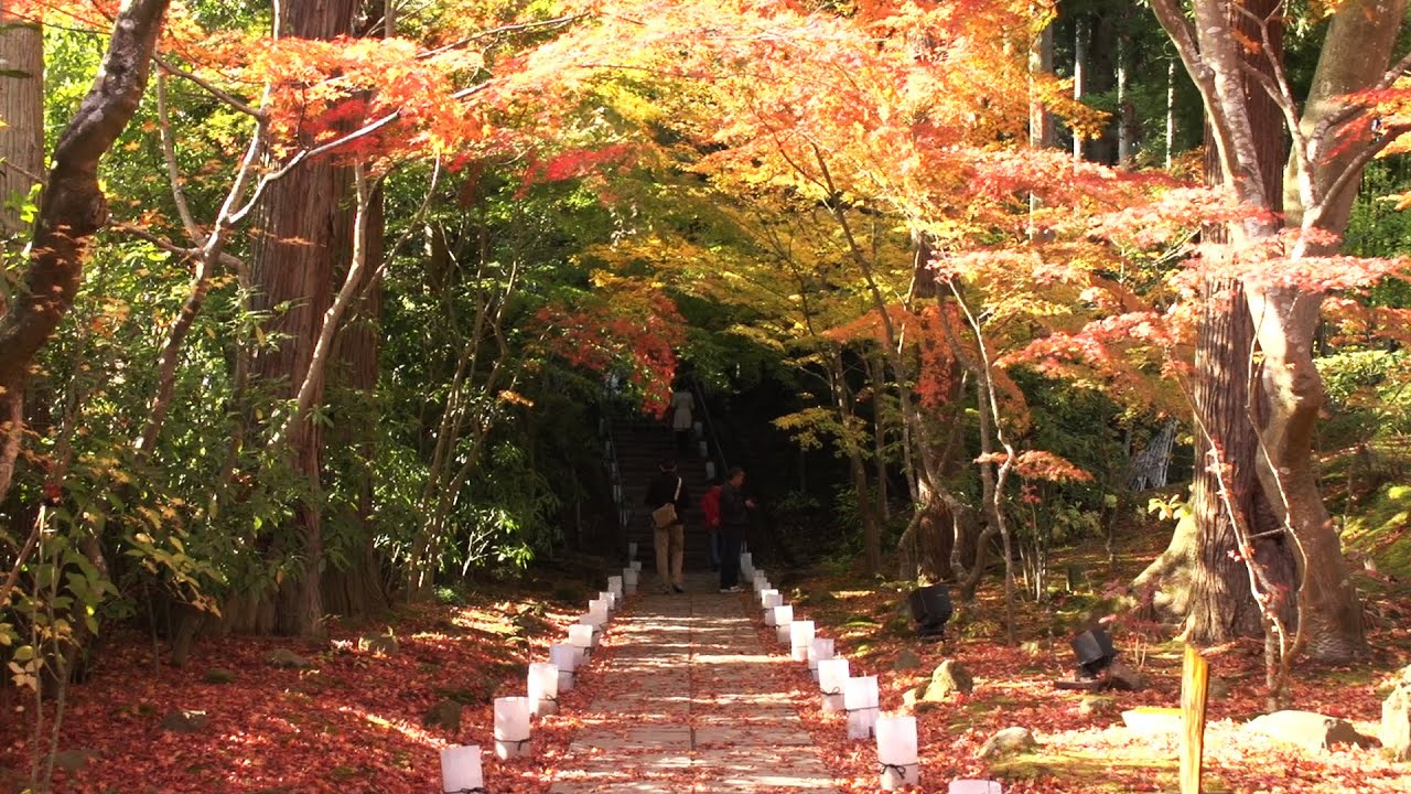 光と戯れる～松島・円通院　紅葉～
