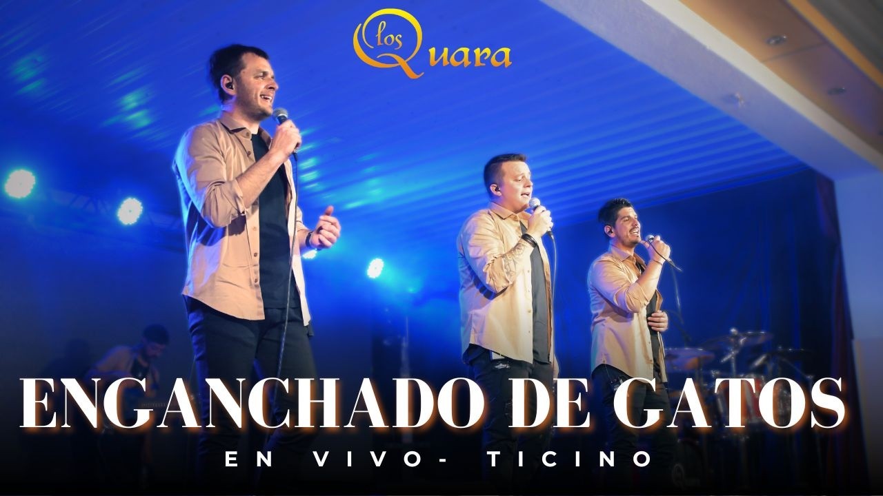 BAILARIN DE LOS MONTES - GATO DEL FESTIVAL (EN VIVO) - 