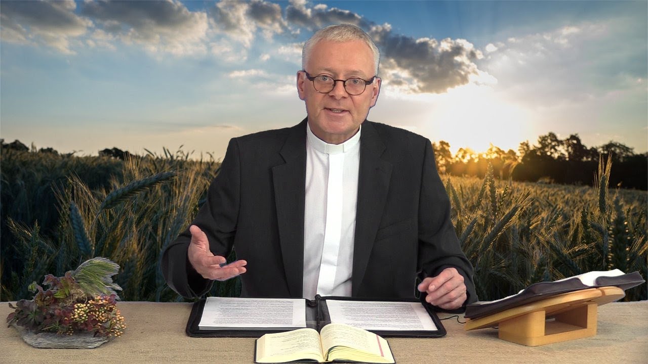 Clemens Pilar 11.  Sonntag im Jahreskreis, Lesejahr B, Markus 4, 26-34