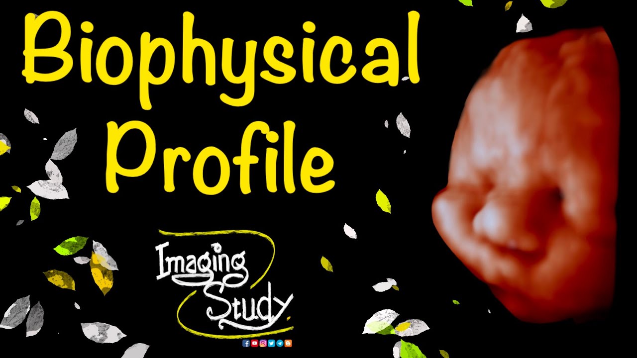 Fetal Biophysical Profile - Imaging Study Lecture