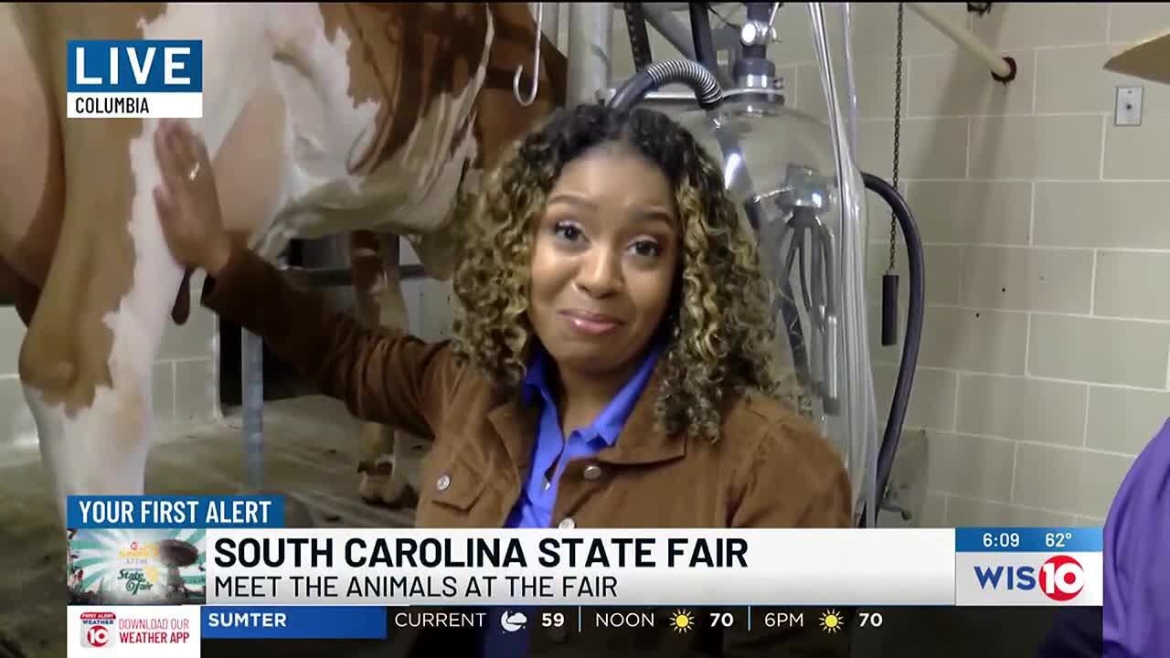 Intisar Faulkner live at the South Carolina State Fair
