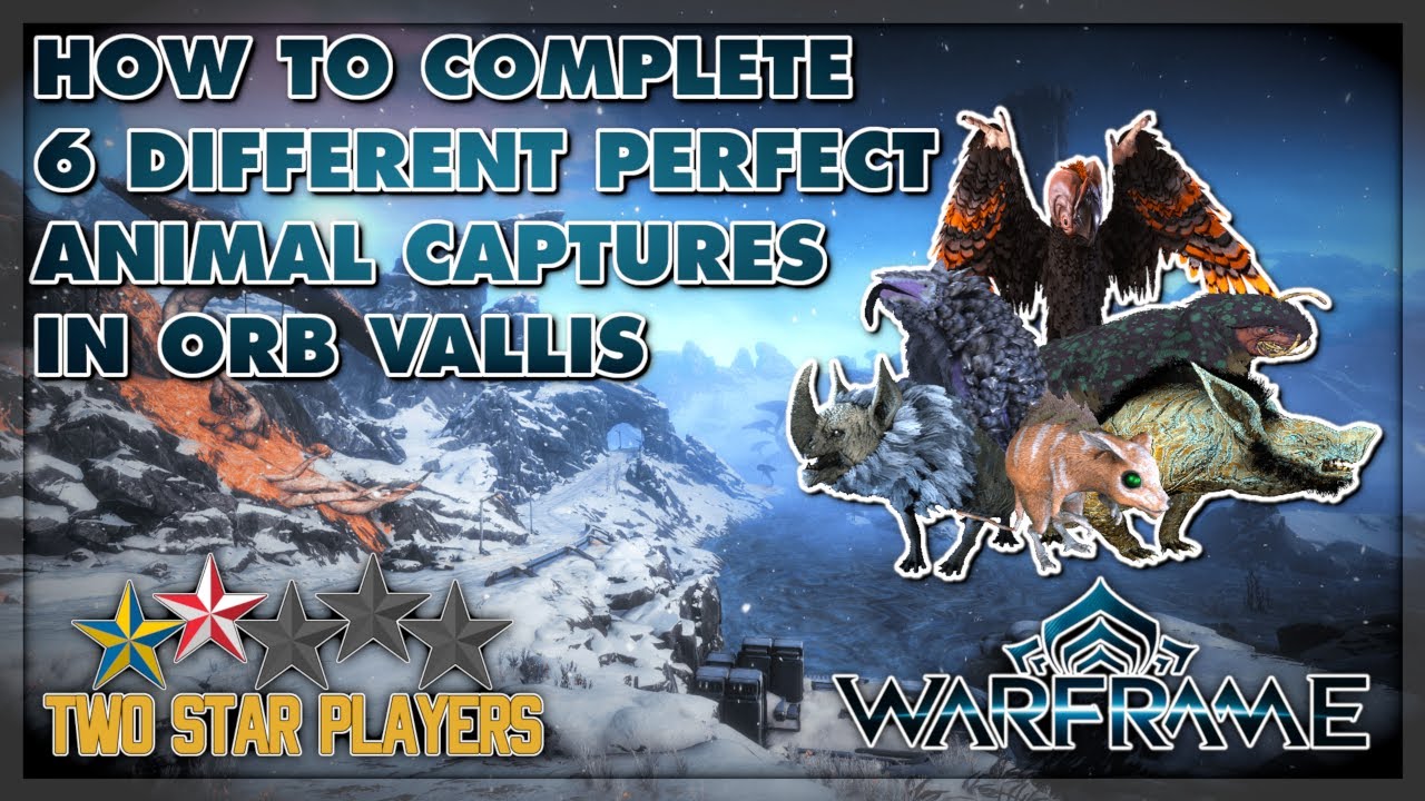 How To Complete 6 Different Perfect Animal Captures In Orb Vallis | Warframe Glassmaker Weekly