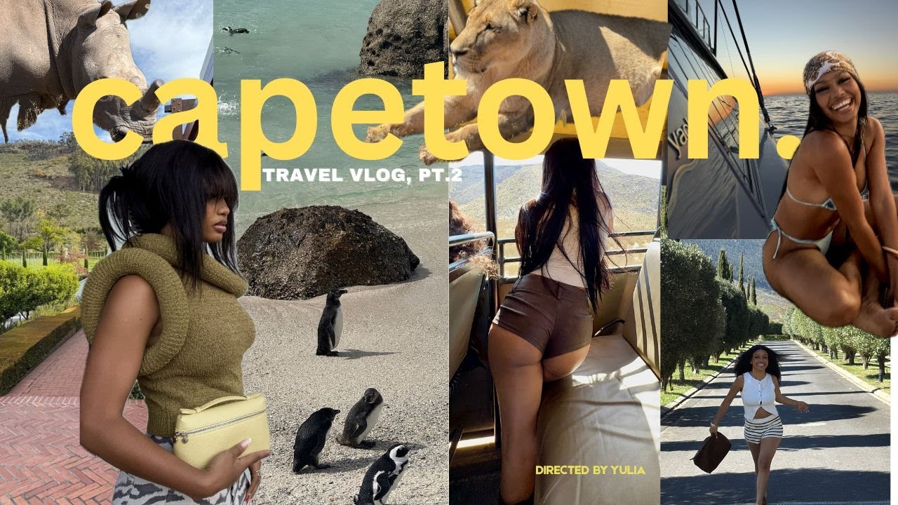 cape town, south Africa | safari, wine tram, boulders beach ,etc.