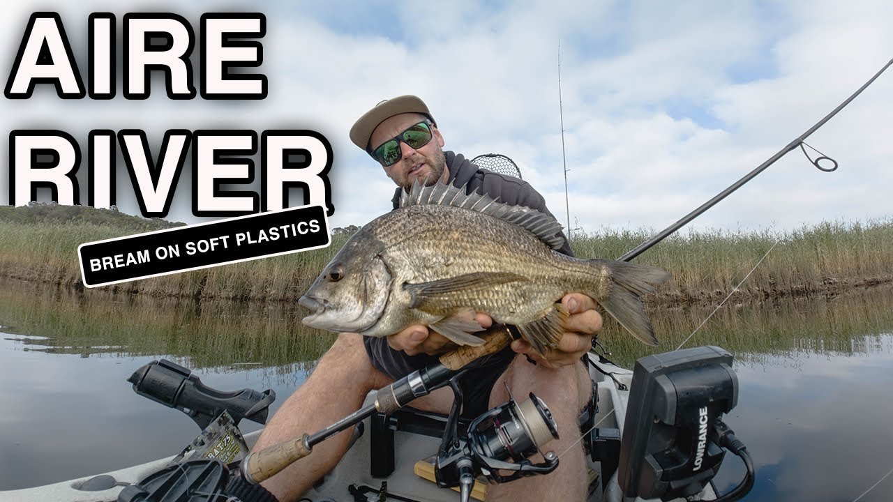 Bream Fishing AIRE RIVER | This soft plastic was incredible!!