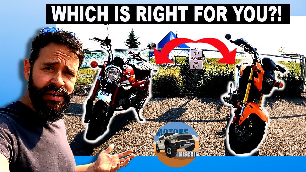 Honda Monkey vs Grom - Is one Better?