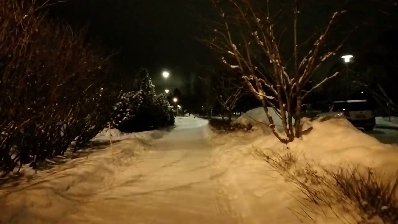 Alone on a Winter Night Walk