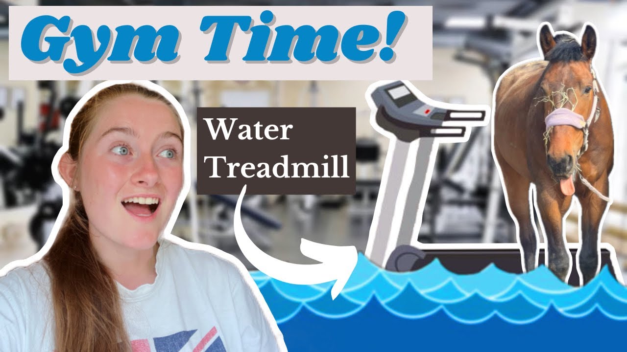 FIRST Time on a Horse  Water TREADMILL