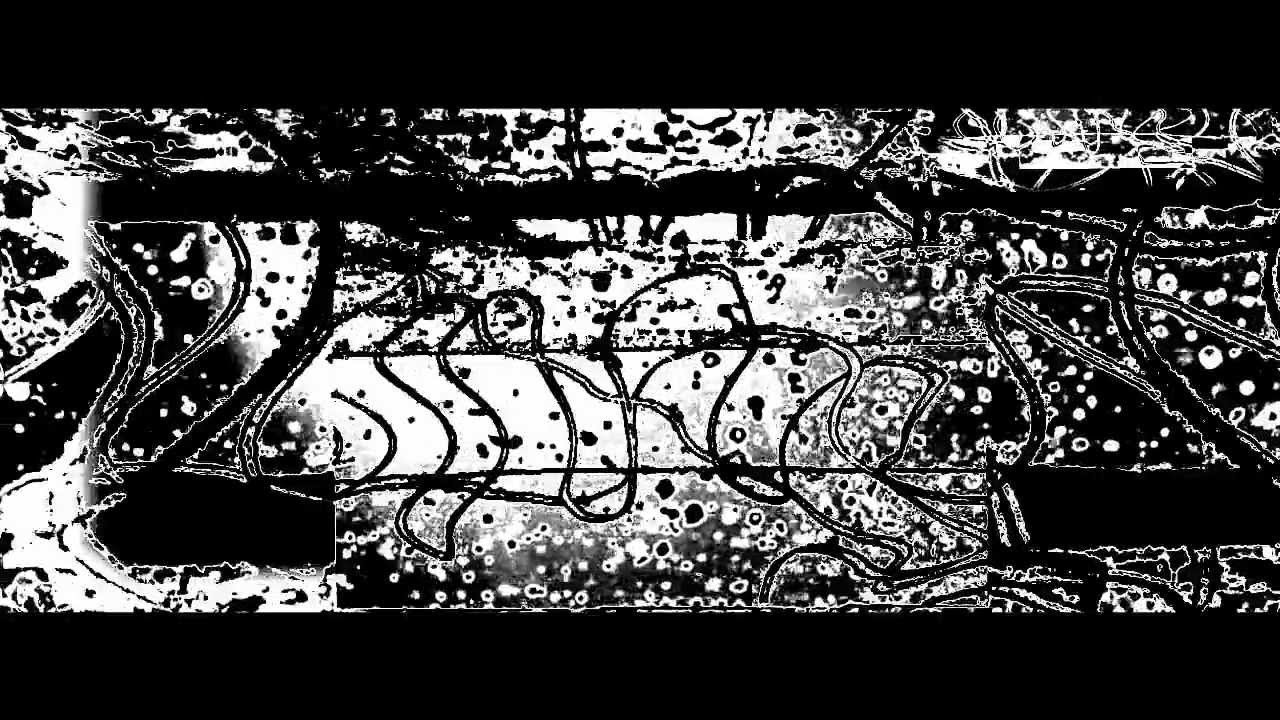 Vitalium