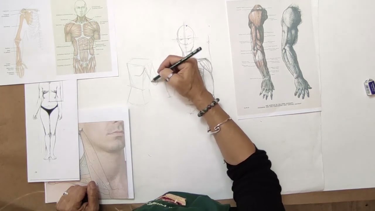 Anatomie du Corps Humain : Techniques de Dessin pour les Muscles et la Silhouette
