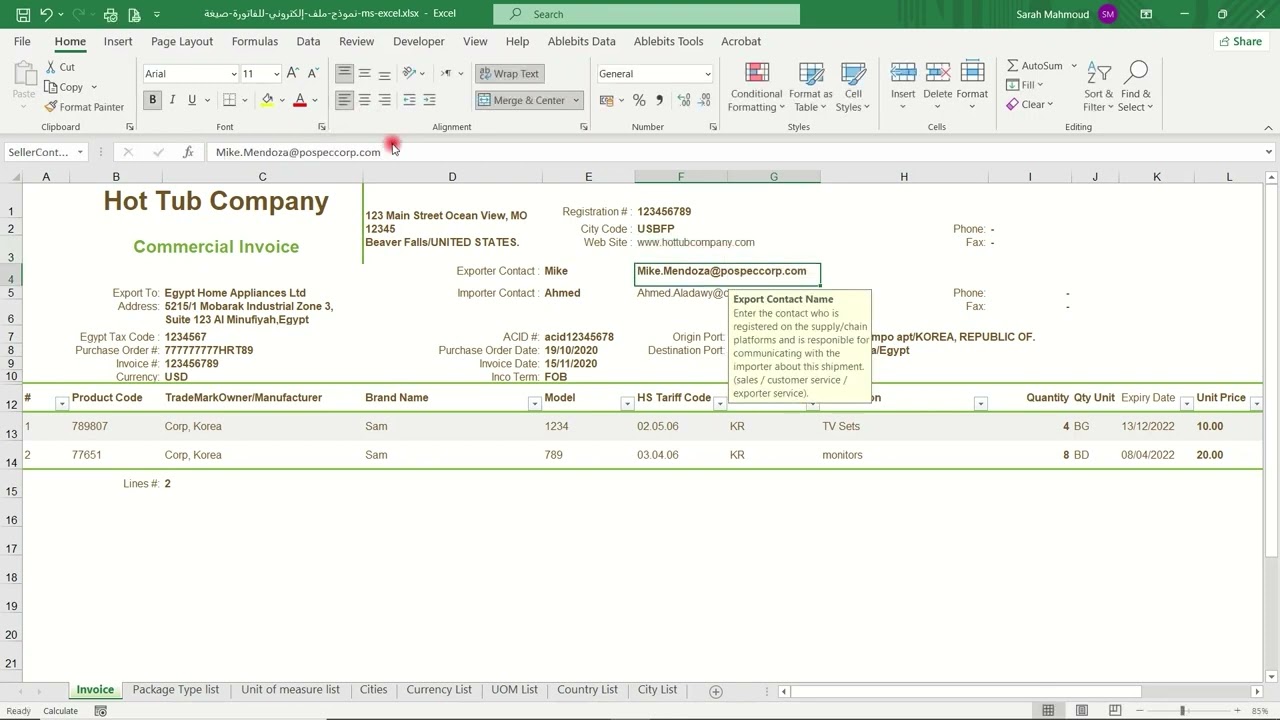 How to fill in invoice format for NAFEZA - كيفيه ملء نموذج ملف إلكتروني لفاتورة نافذه