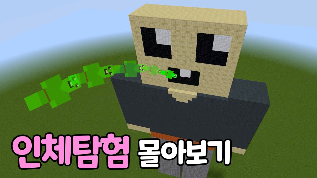 마크로 보는 인체 탐험 시리즈 [몰아보기]
