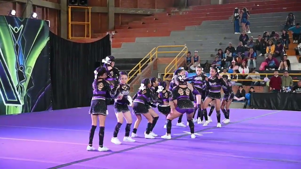 XIIUA 2024  fenix force N1