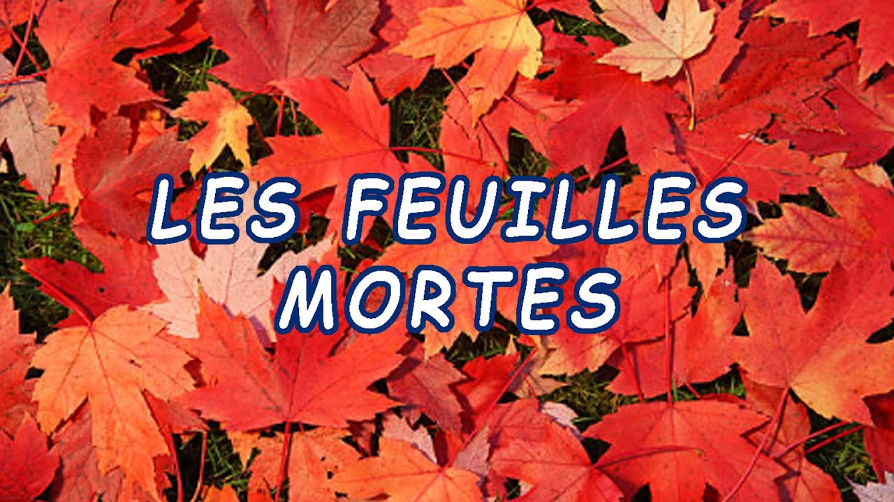 KARAOKÉ Les feuilles mortes par Claude Tremblay