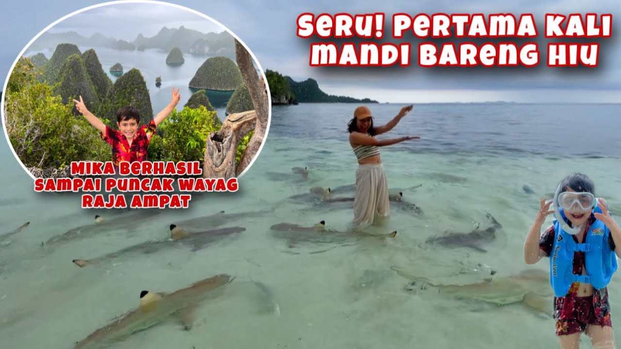 PERTAMA KALI MANDI BARENG HIU, AKHIRNYA BERHASIL SAMPAI KE PUNCAK WAYAG RAJA AMPAT YG SANGAT INDAH