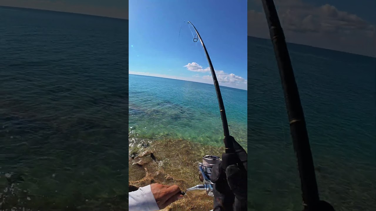 🔥 I Caught A Tiny Turbo-Charged Fish in Breathtaking Waters!
