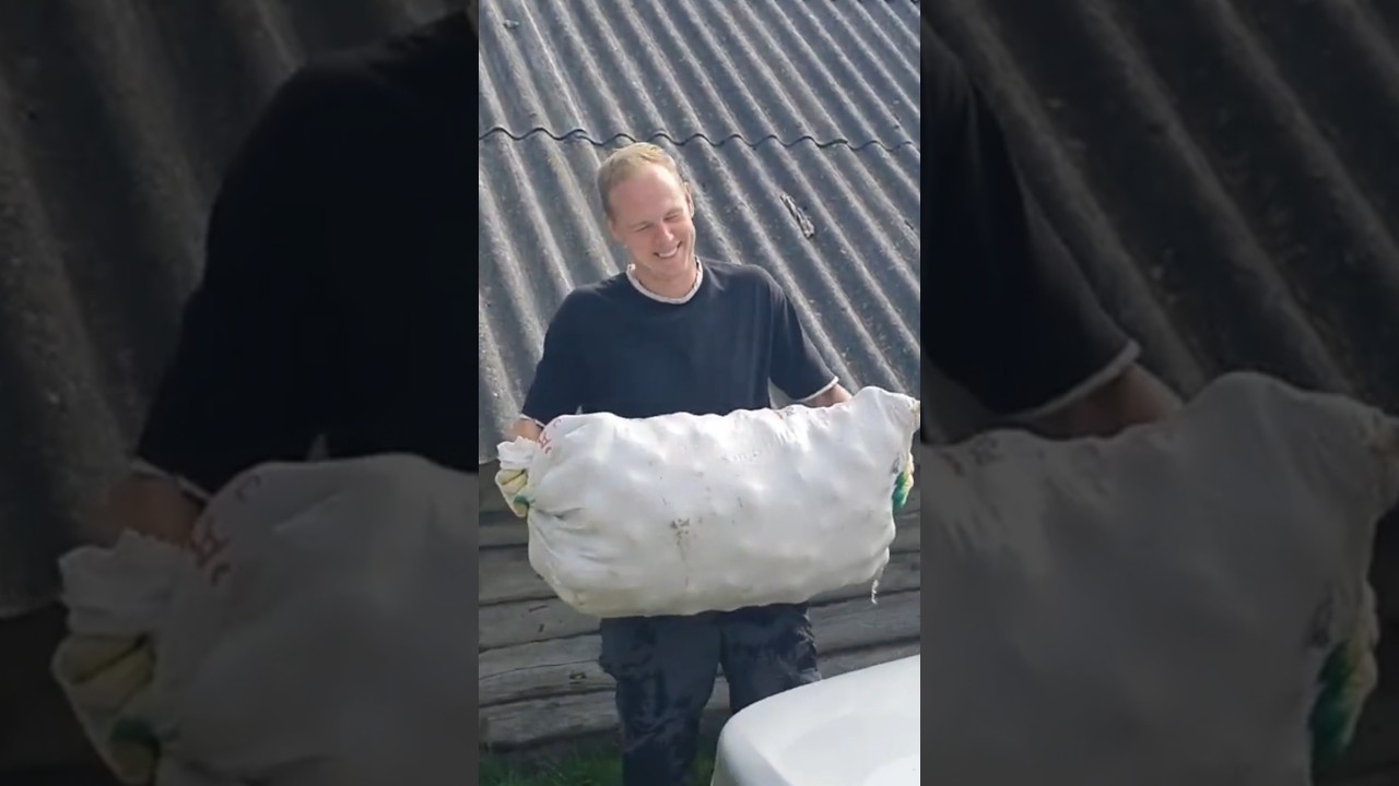СДАЛ ЯБЛОКИ И КУПИЛ БМВ#ВОЗИМ ПРЯМО В САЛОНЕ