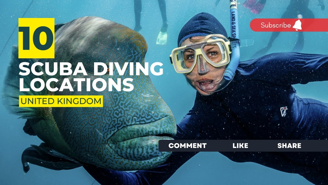 [2023] The United Kingdom Dive Sites That Will Blow Your Mind: Our Top 10 Scuba Diving Locations