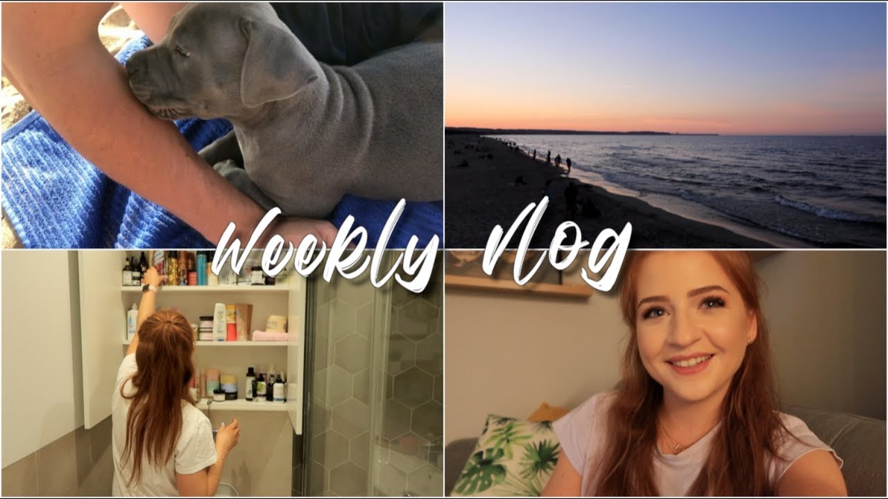 PORZĄDKI & NIEUDANE ZAKUPY | Weekly vlog #16