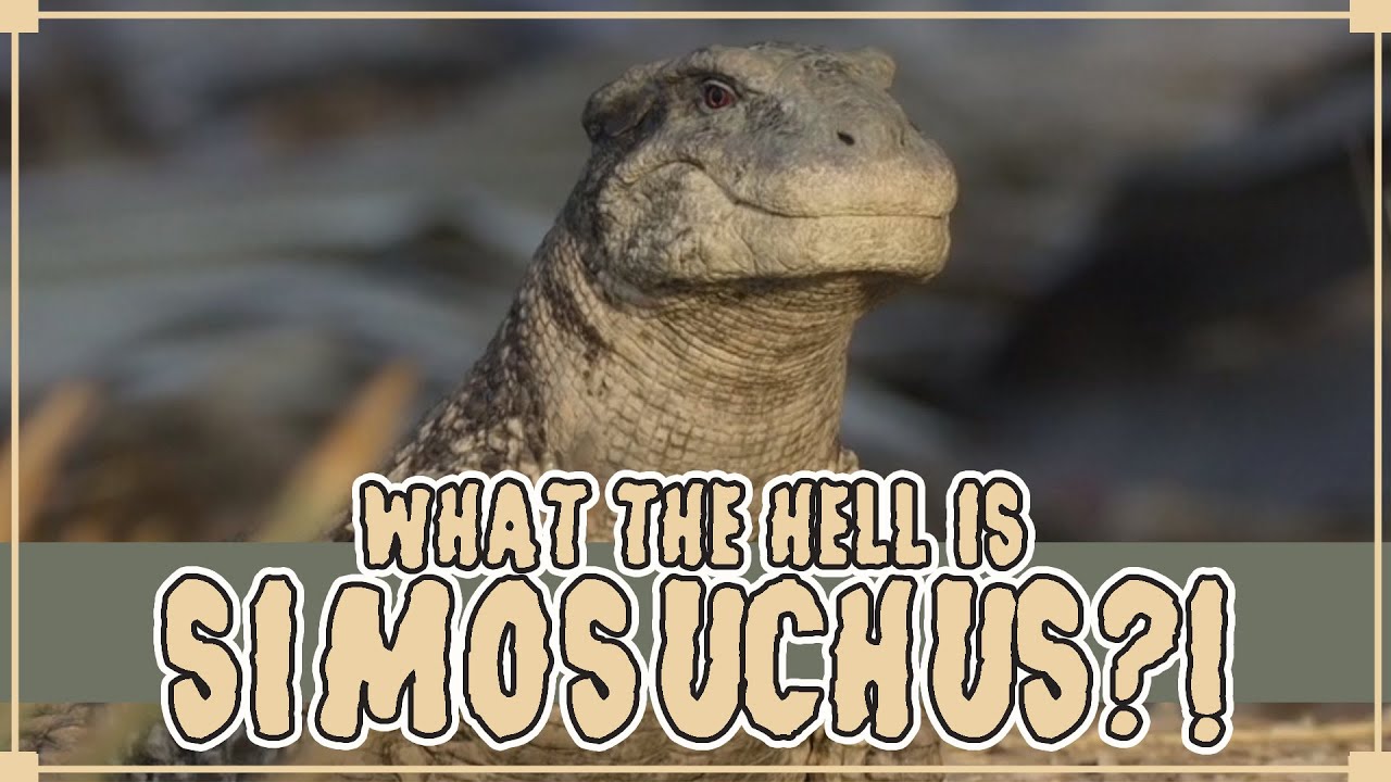 What the Hell is Simosuchus?!